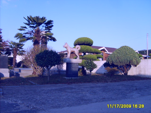 S5001548.JPG