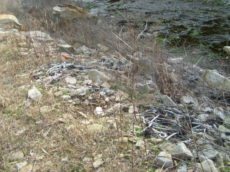 STP67273.JPG