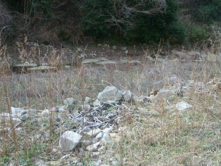 STP67274.JPG