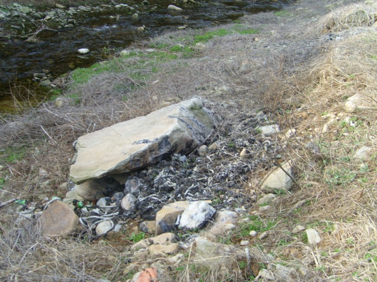 STP67278.JPG