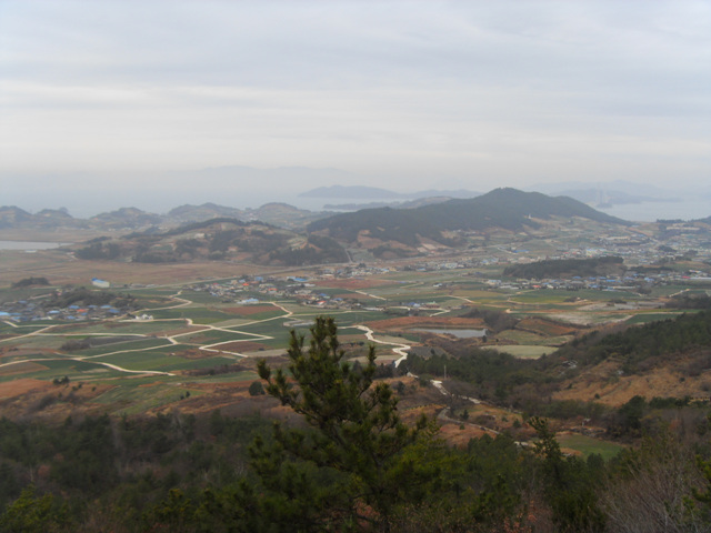 SDC11254.jpg