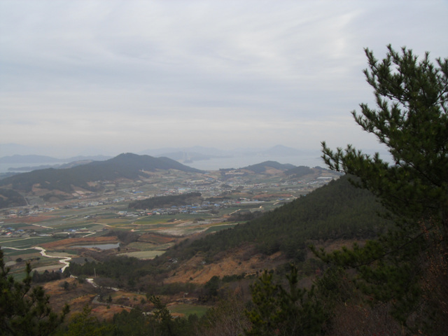 SDC11255.jpg