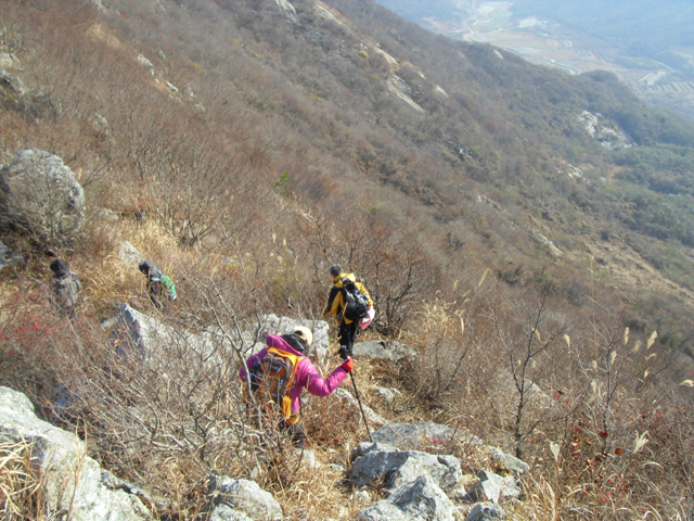 SDC11260.jpg