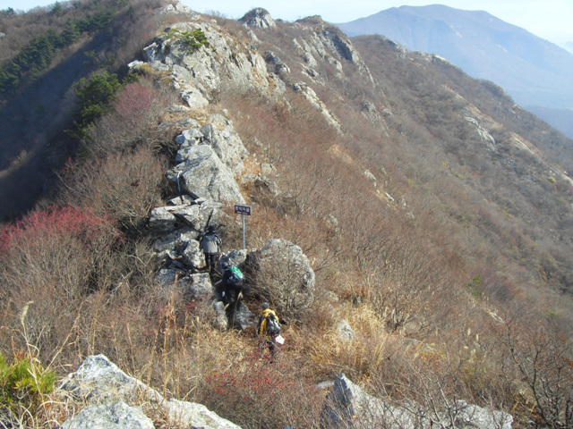 SDC11261.jpg
