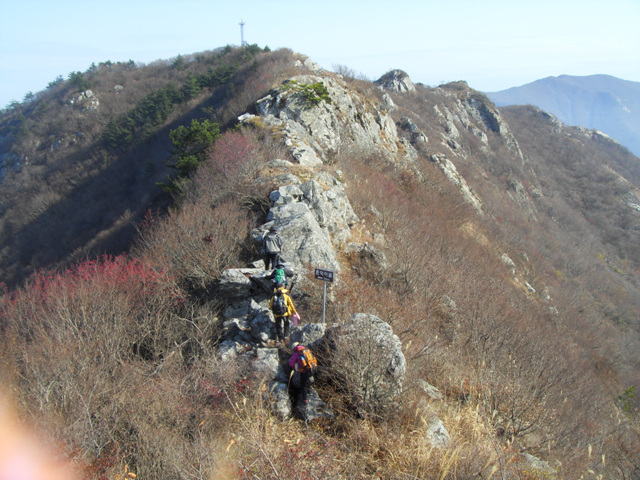 SDC11262.jpg