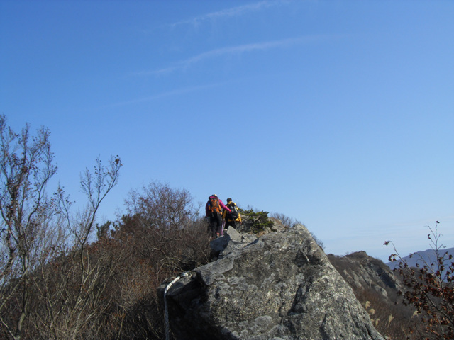 SDC11263.jpg