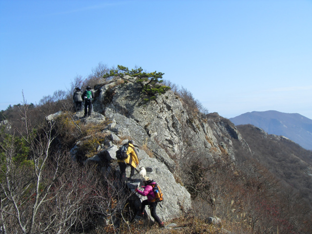 SDC11264.jpg