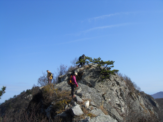 SDC11266.jpg