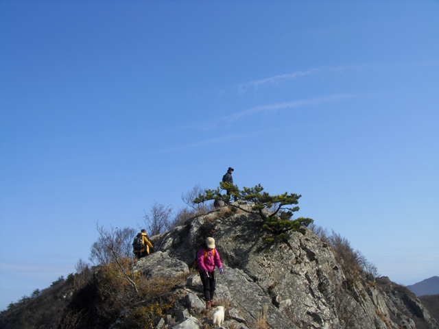SDC11267.jpg