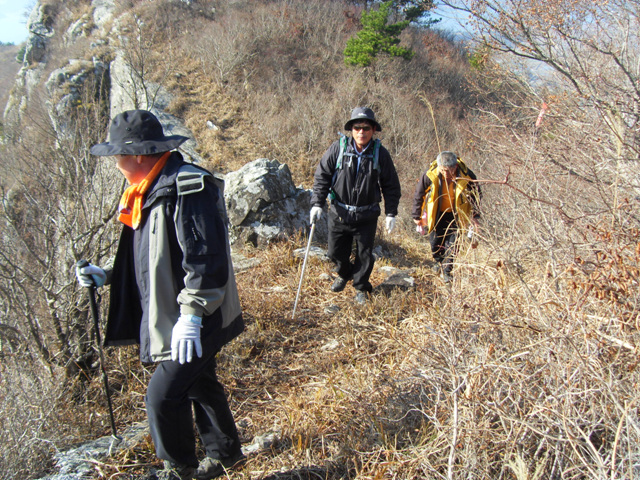 SDC11269.jpg