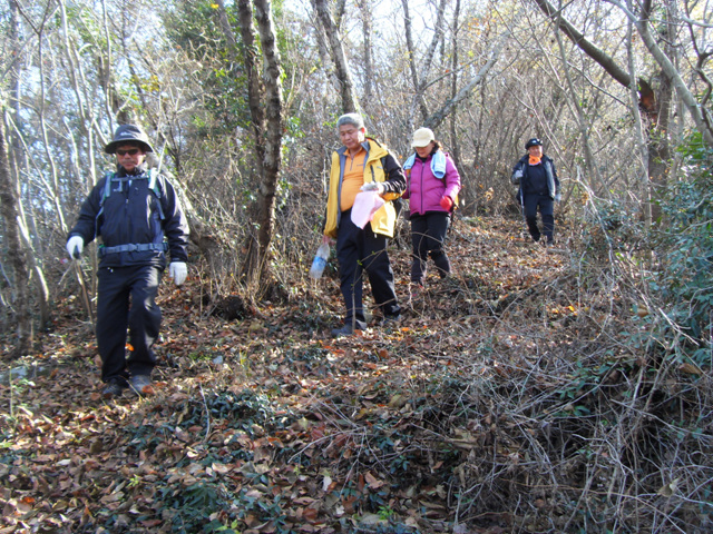 SDC11275.jpg