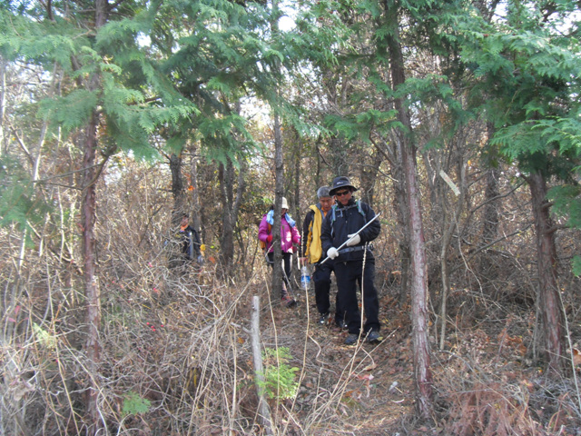 SDC11277.jpg