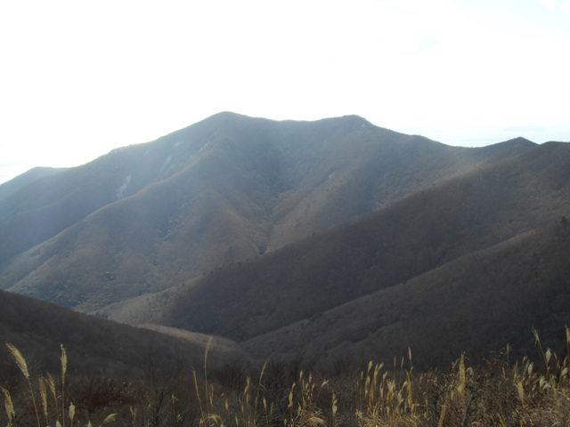 SDC11292.jpg
