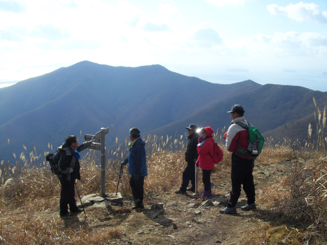 SDC11295.jpg