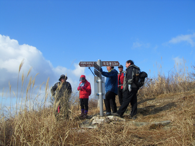 SDC11296.jpg
