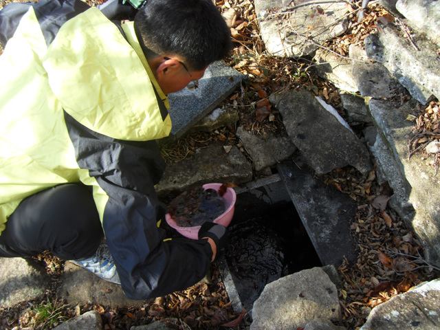 SDC11298.jpg