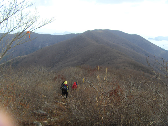 SDC11301.jpg