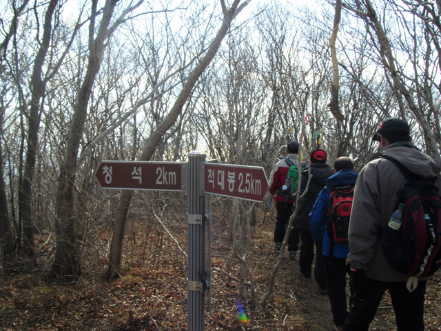 SDC11307.jpg