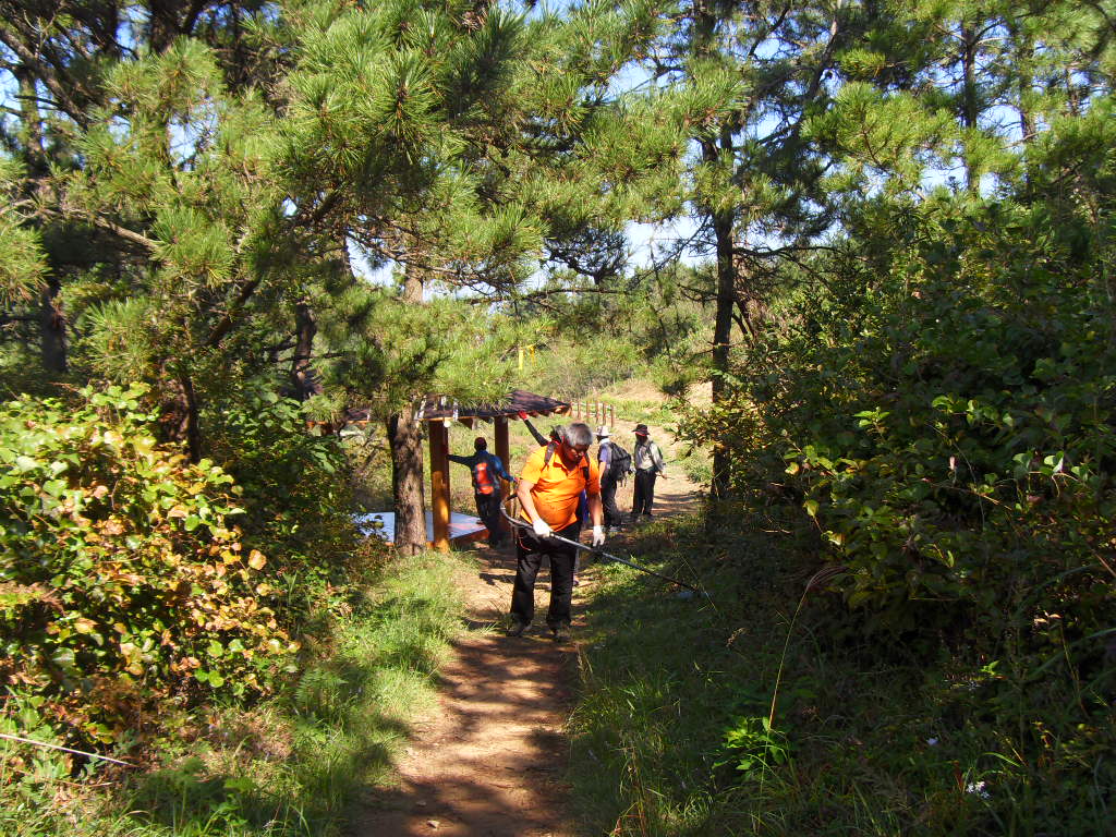SDC11780.JPG