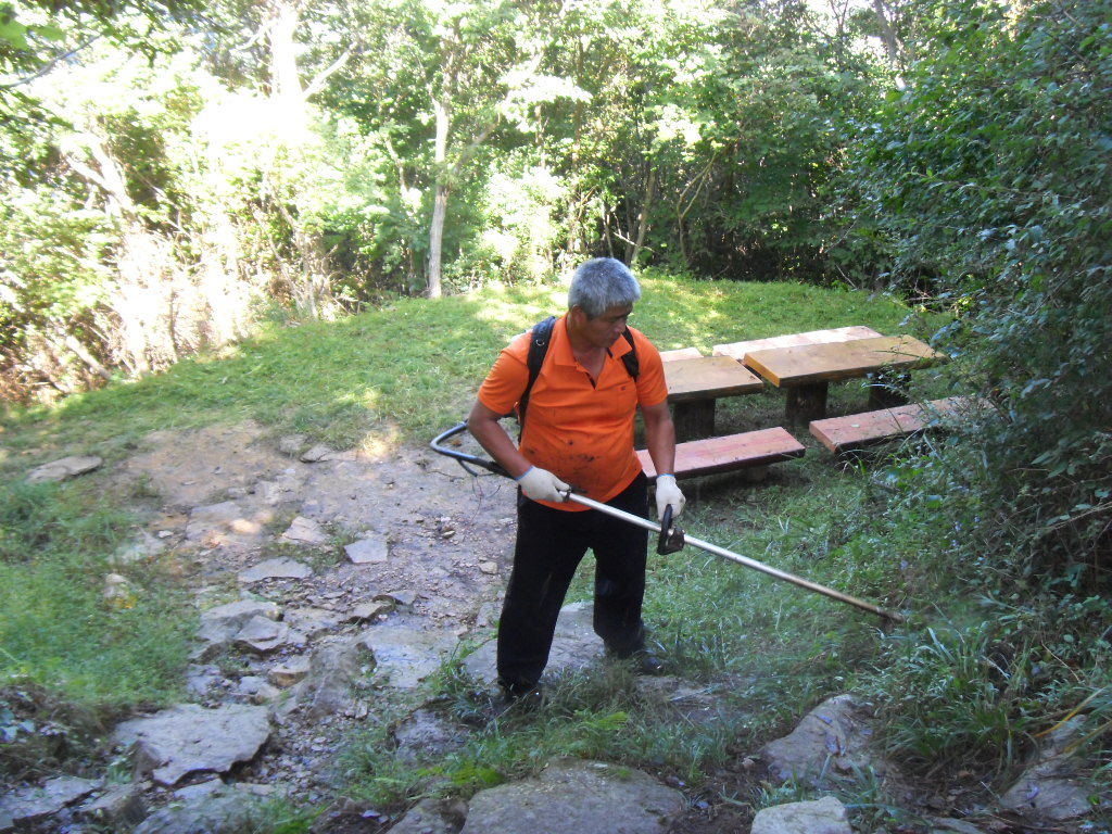 SDC11781.JPG