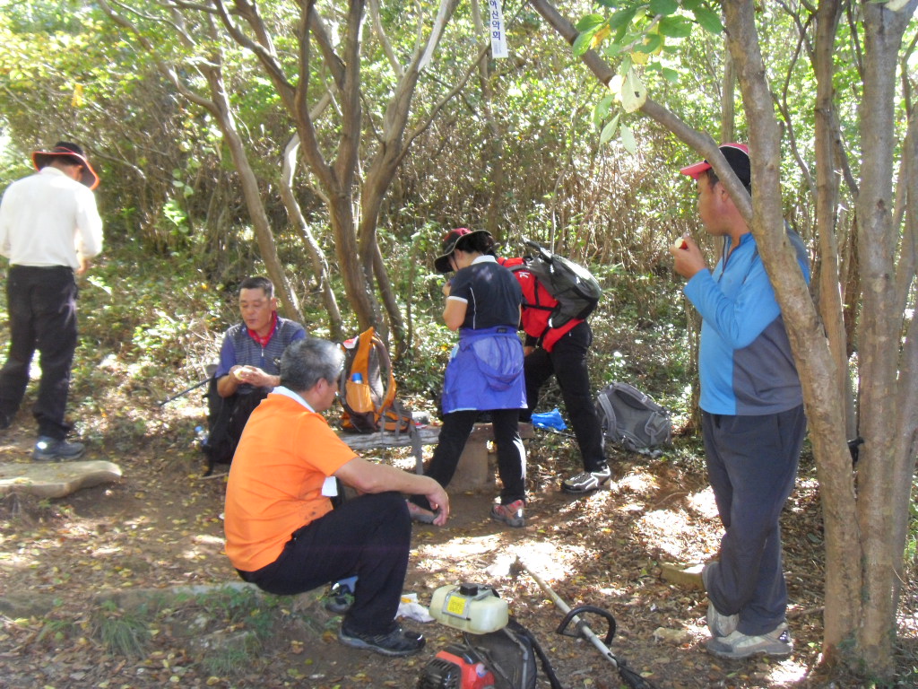 SDC11783.JPG