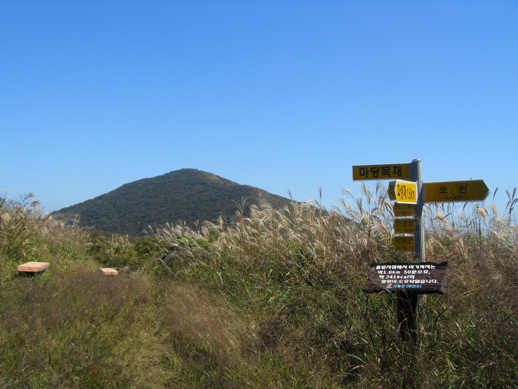 SDC11784.JPG