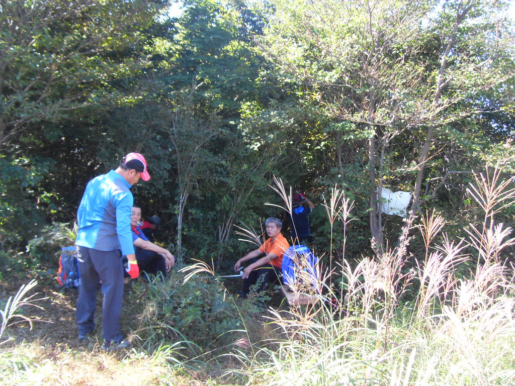 SDC11785.JPG