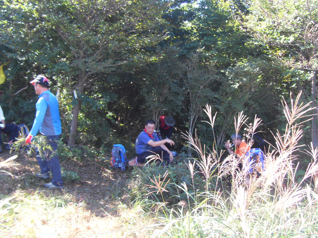 SDC11786.JPG