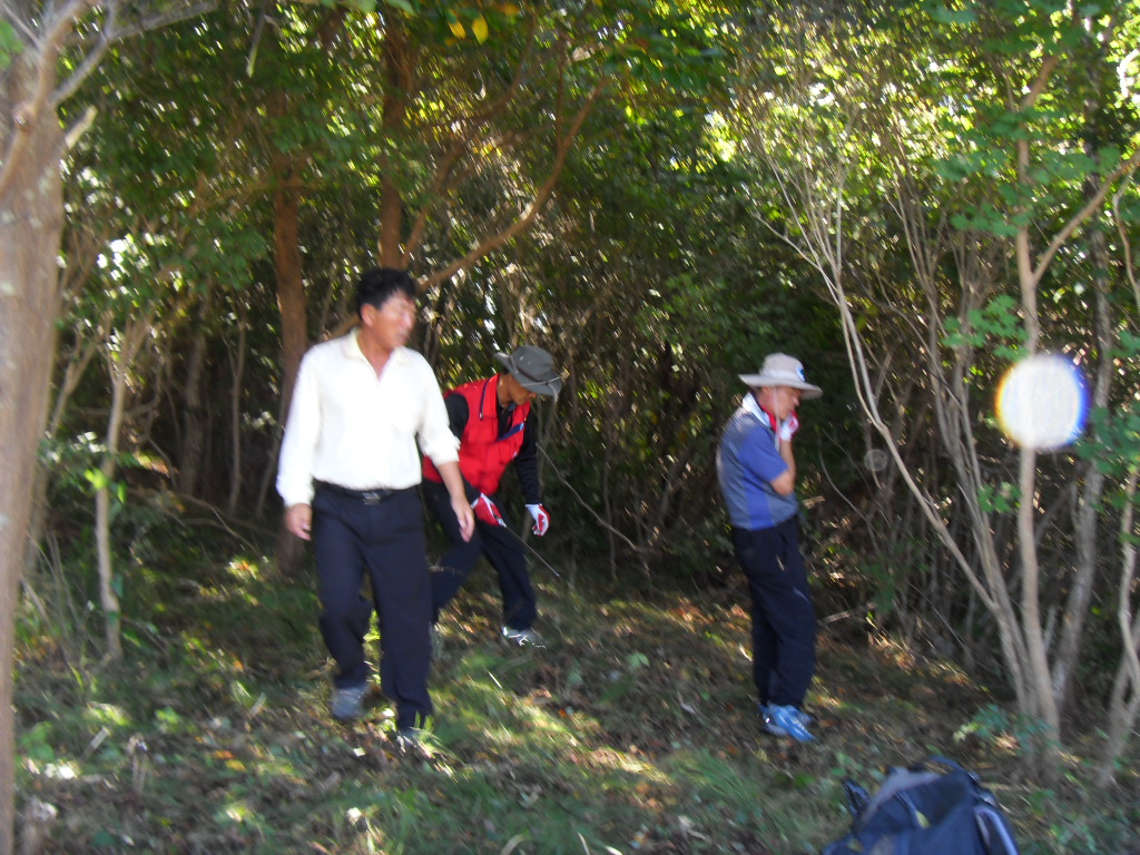SDC11798.JPG