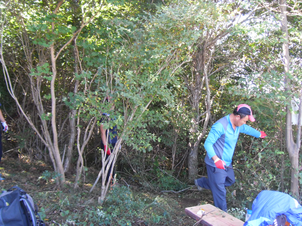 SDC11799.JPG