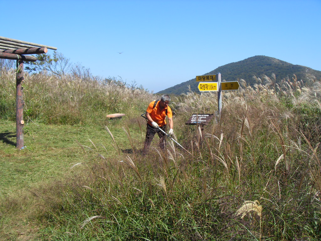SDC11800.JPG