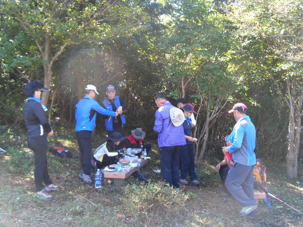 SDC11802.JPG