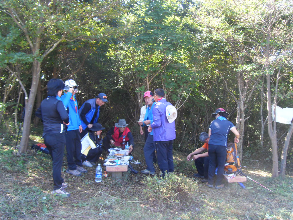 SDC11803.JPG