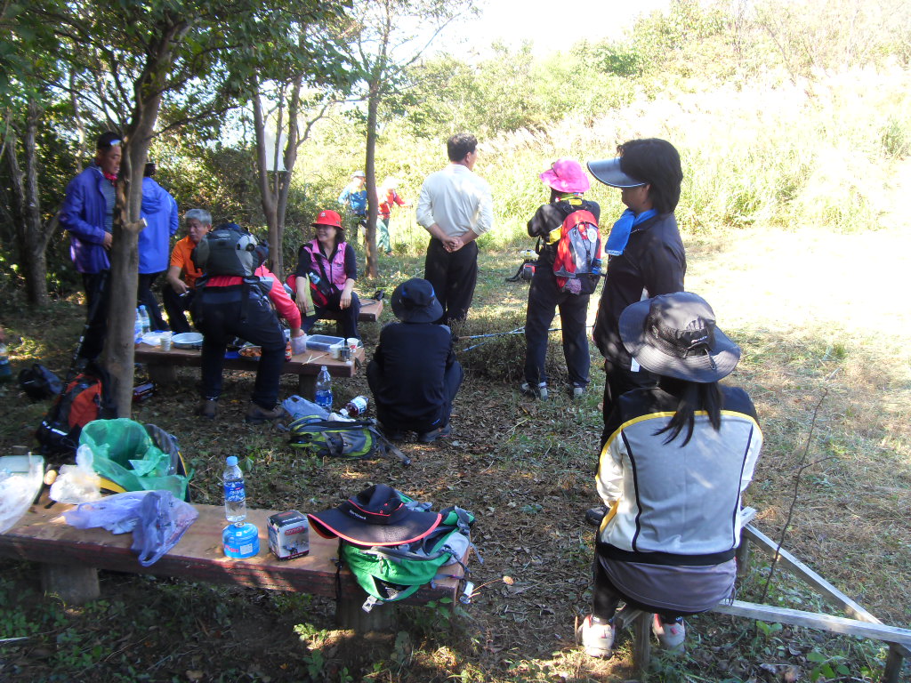 SDC11805.JPG