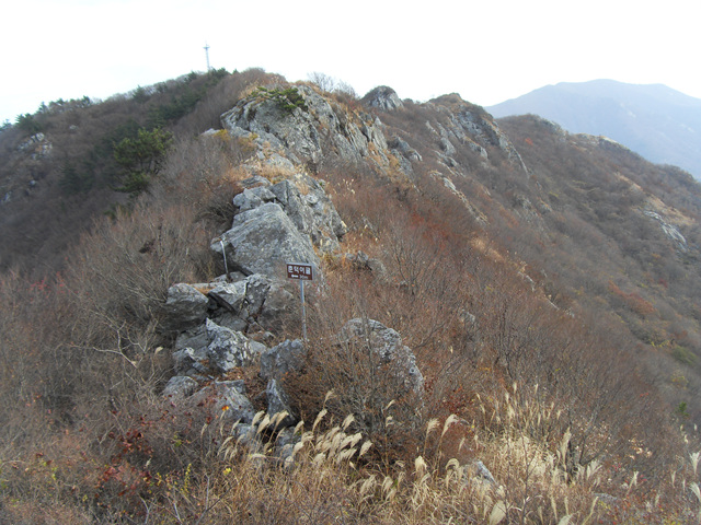 SDC12100.jpg