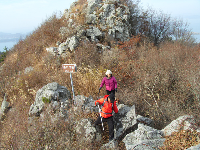 SDC12103.jpg