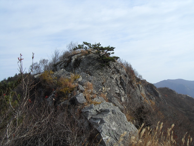 SDC12104.jpg