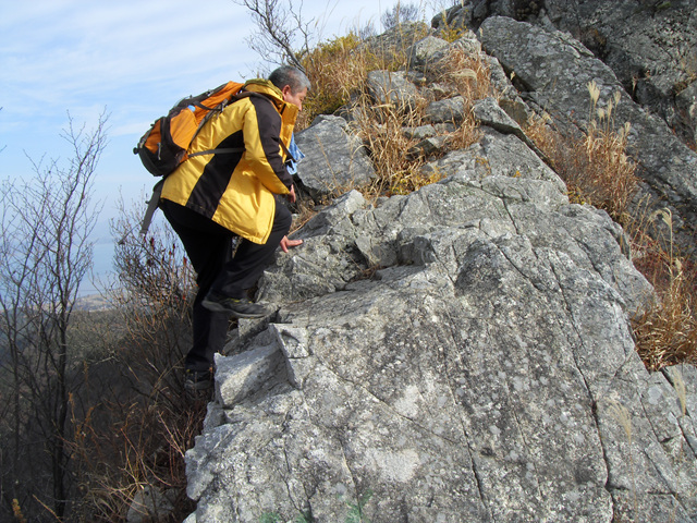 SDC12108.jpg