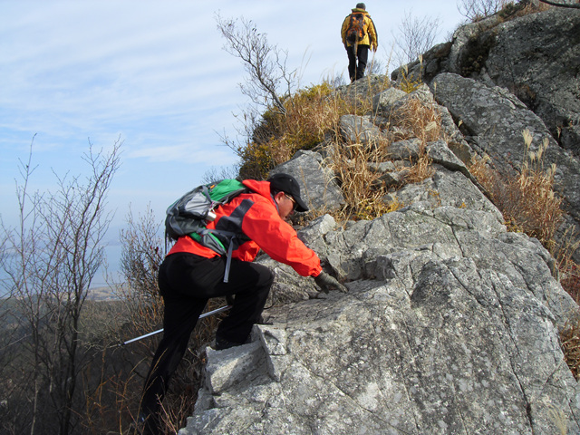 SDC12110.jpg