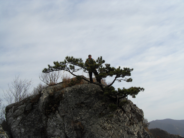 SDC12111.jpg