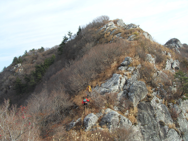 SDC12115.jpg