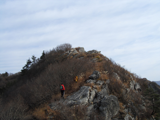 SDC12116.jpg