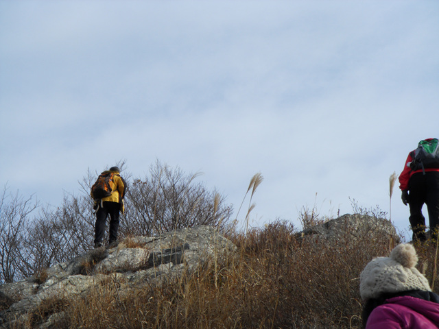 SDC12118.jpg