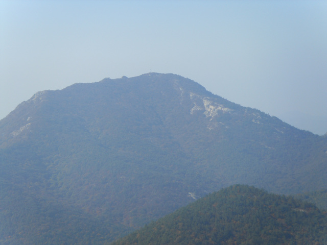 SDC11975.jpg