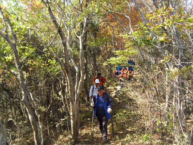 SDC12003.jpg
