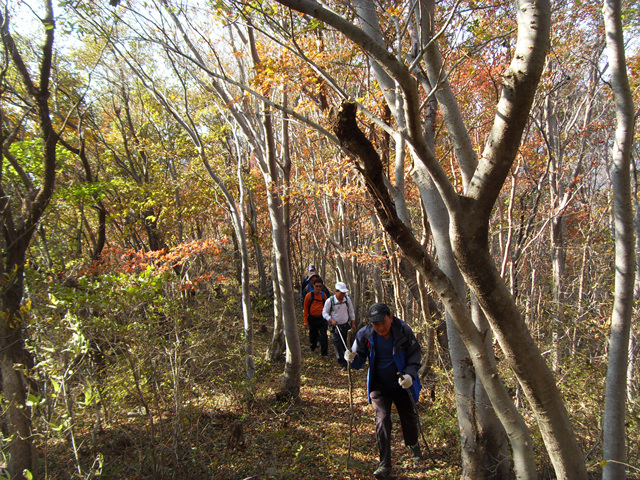 SDC12005.jpg