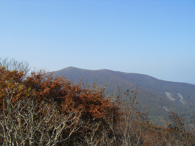 SDC12006.jpg