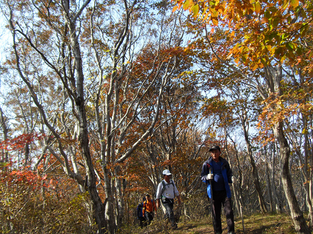 SDC12008.jpg