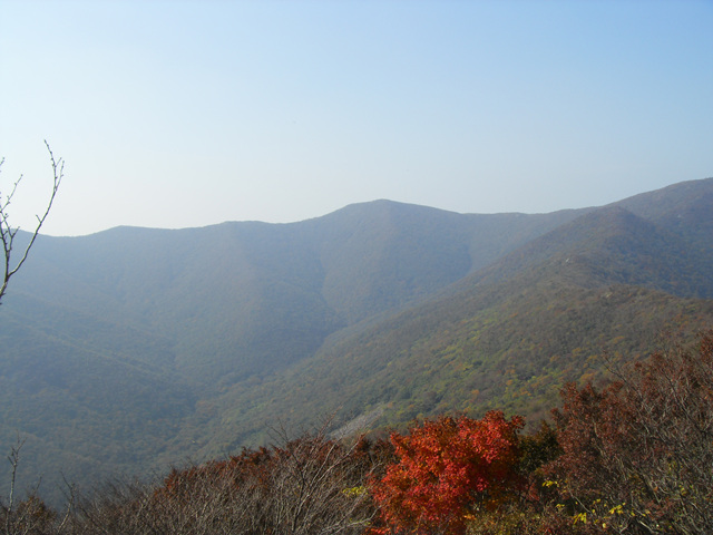 SDC12009.jpg