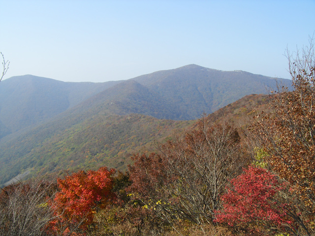 SDC12010.jpg